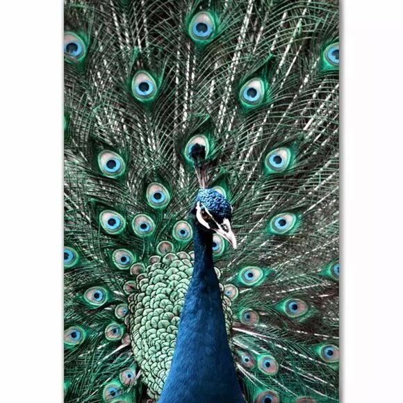 Tranquil, tropical Teal & White meditative print collection home decor wall art - Picture 1 of 12